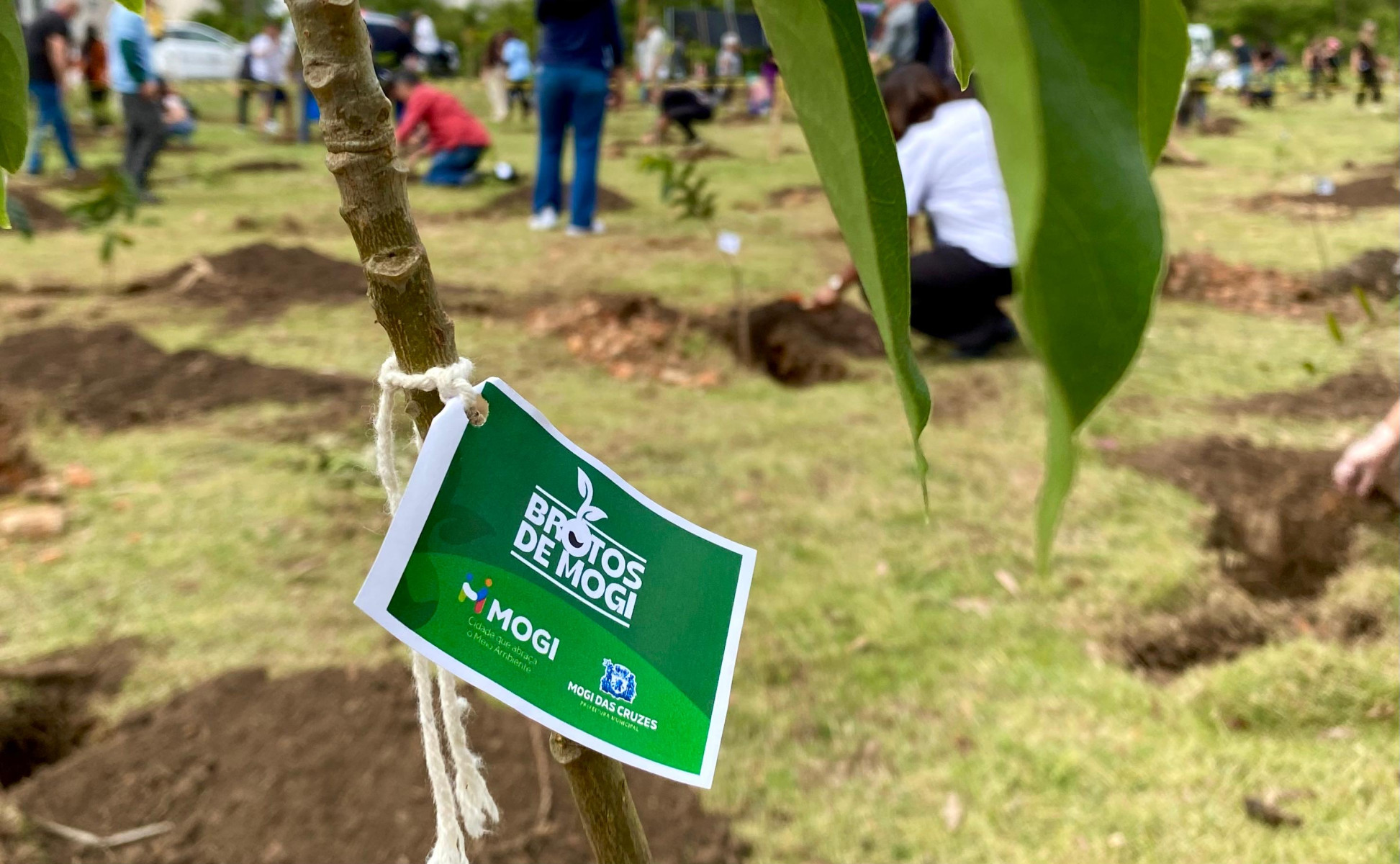 WhatsApp Image 2025-11-28 at 08.56.58.jpeg