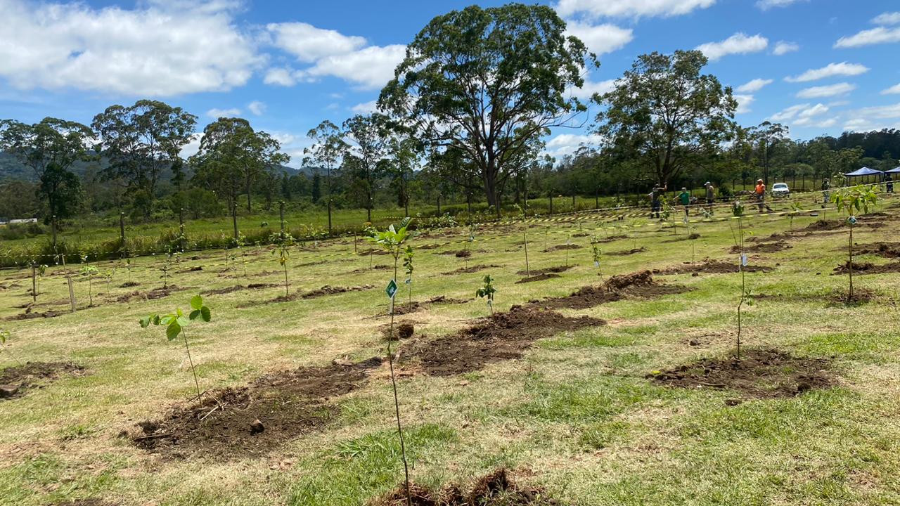 WhatsApp Image 2025-11-28 at 08.49.14 (1).jpeg